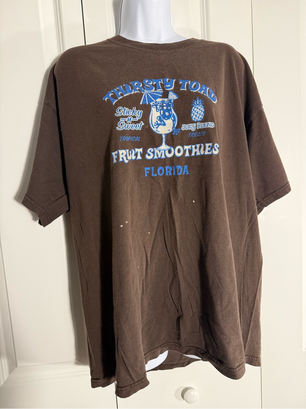 Gildan Brown Short Sleeve Tee with Blue & White Fruit Smoothies Graphic